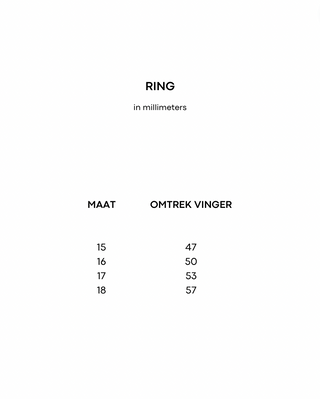 dubbele zilveren ring